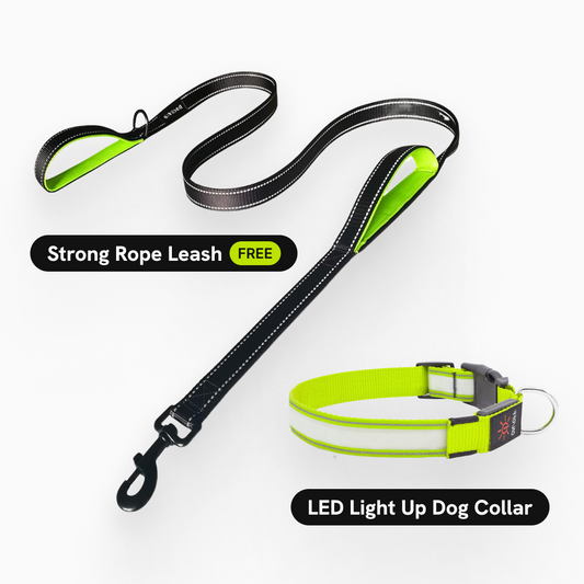 LuxeLight LED Dog Collar