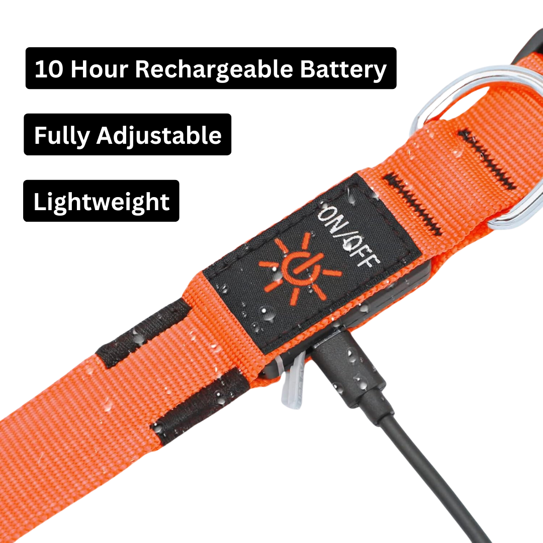 LuxeLight LED Dog Collar